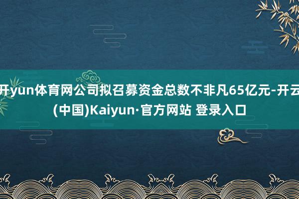 开yun体育网公司拟召募资金总数不非凡65亿元-开云(中国)Kaiyun·官方网站 登录入口