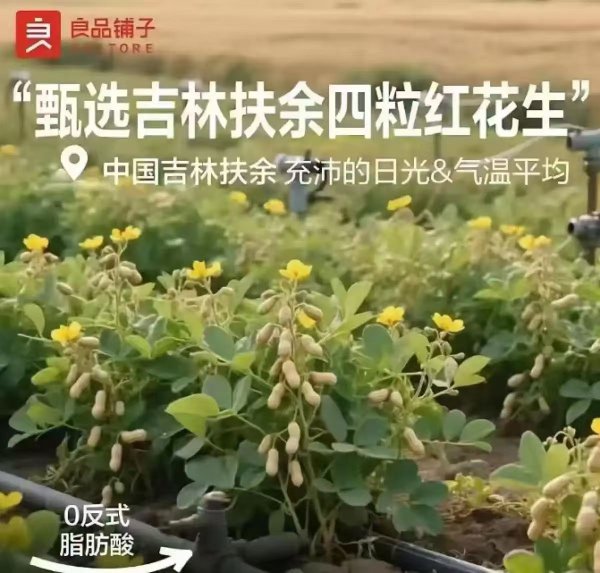 开云体育其作风之朦胧可见一斑-开云(中国)Kaiyun·官方网站 登录入口