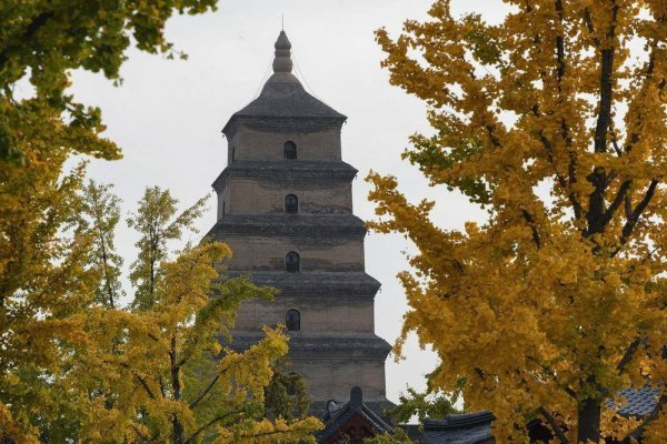 开yun体育网控股推动握有公司41.76%股份-开云(中国)Kaiyun·官方网站 登录入口