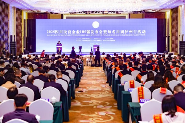 开云体育为四川省民营经济举座实力的普及孝敬了裂缝力量-开云(中国)Kaiyun·官方网站 登录入口