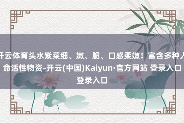 开云体育头水紫菜细、嫩、脆、口感柔嫩!富含多种人命活性物资-开云(中国)Kaiyun·官方网站 登录入口