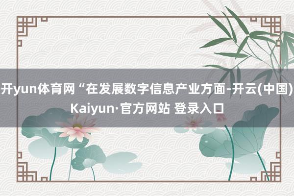 开yun体育网“在发展数字信息产业方面-开云(中国)Kaiyun·官方网站 登录入口