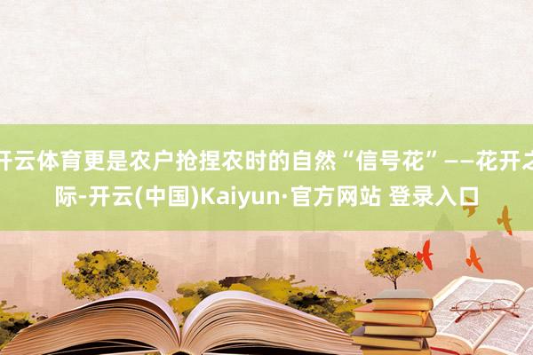 开云体育更是农户抢捏农时的自然“信号花”——花开之际-开云(中国)Kaiyun·官方网站 登录入口