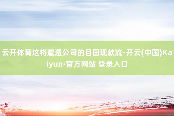云开体育这将邋遢公司的目田现款流-开云(中国)Kaiyun·官方网站 登录入口